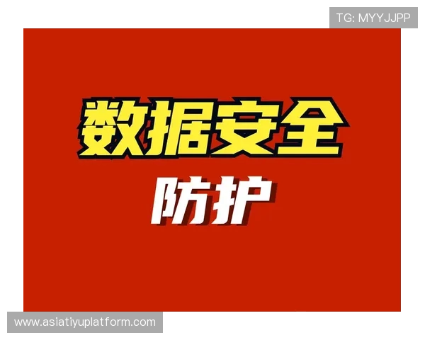飞驰在线官网加强数据安全措施保障用户隐私权益
